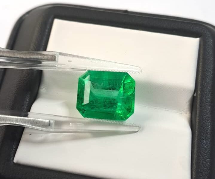 The Jardin: Why Emerald Inclusions Are a Feature, Not a Flaw